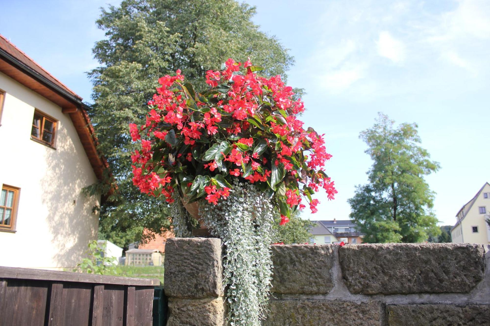 Tente de luxe Zeltplatz Altjessen 57 Pirna